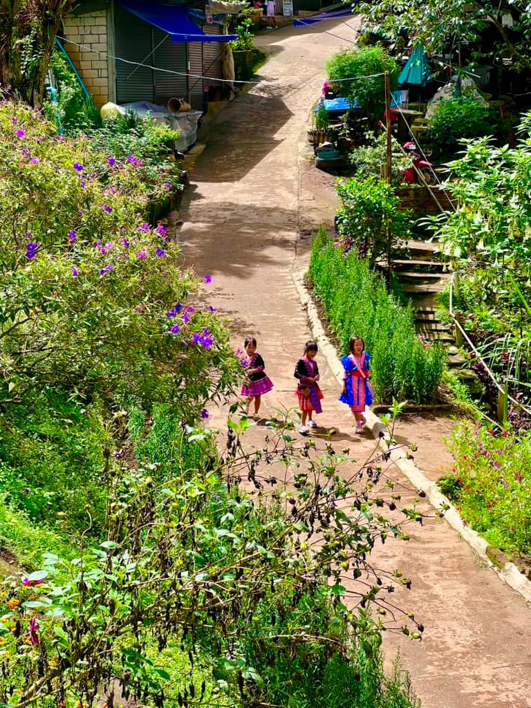 Outskirts Chiang Mai