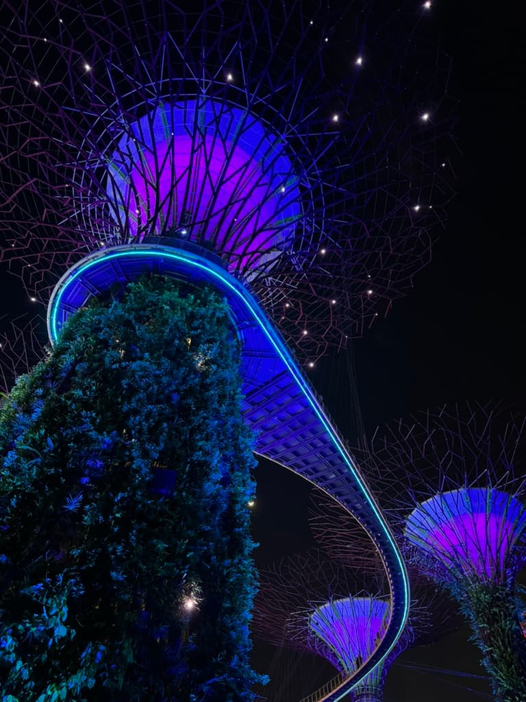 Gardens by the Bay